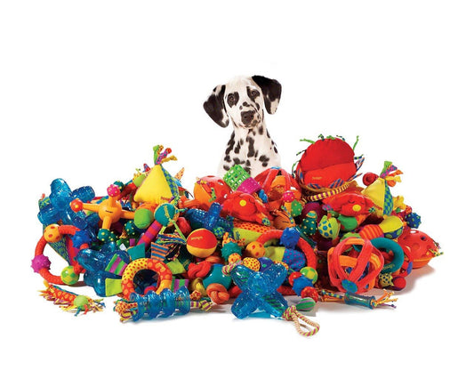 Top 10 Indestructible Pet Toys