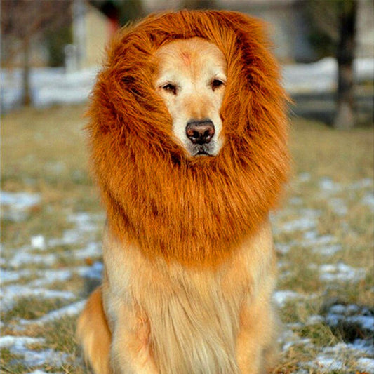 Lion Mane for dogs