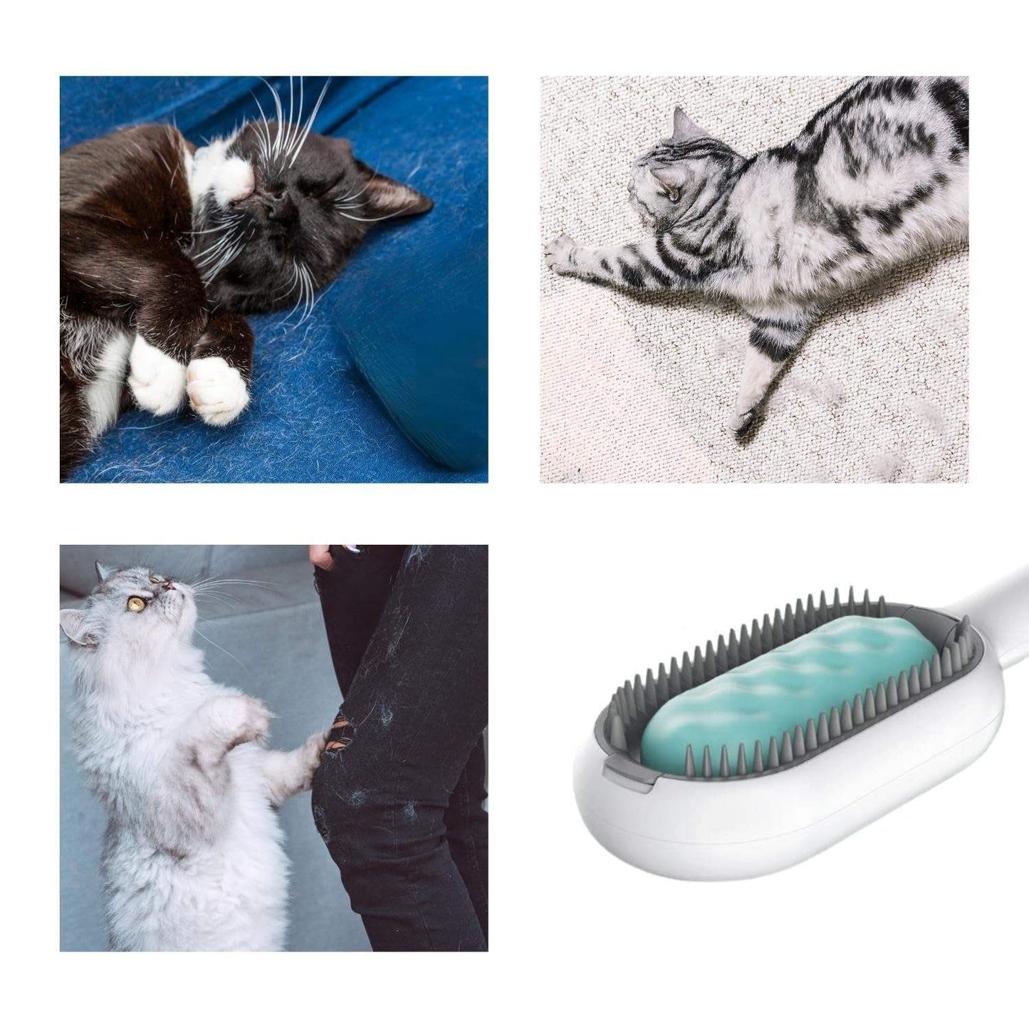 Cat Hair Brush With Water