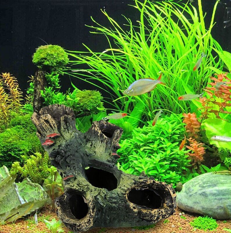 Fish Tank Landscaping