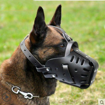 dog muzzle