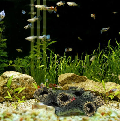 Fish Tank Landscaping