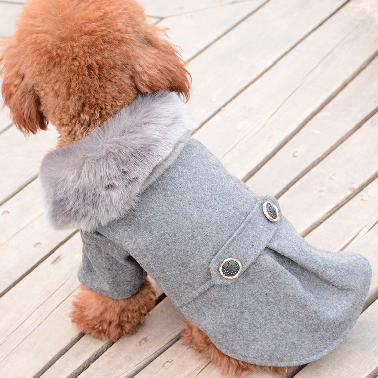 dog coat