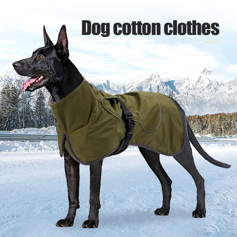 dog clothes 