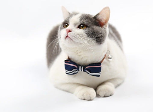 cat tie