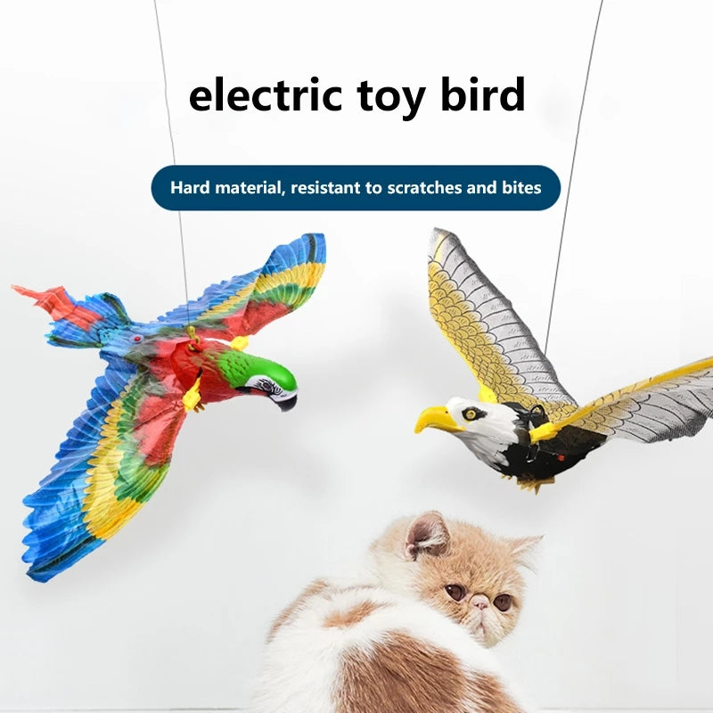 electric toy bird