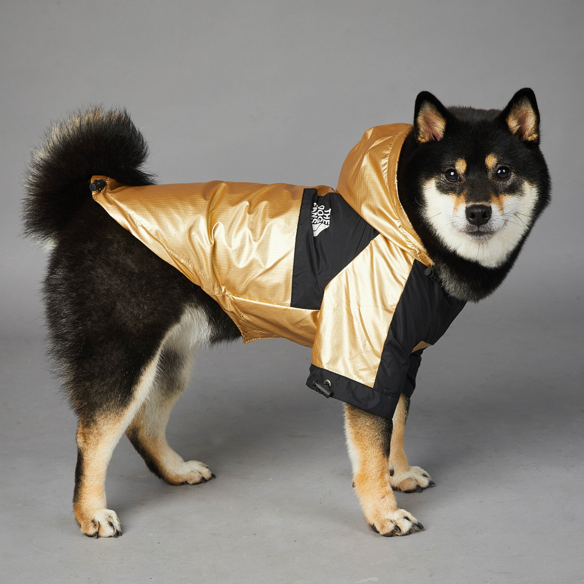 Windproof Jacket