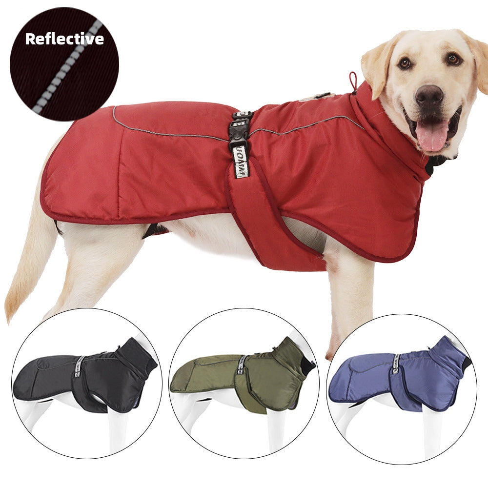 dog jacket