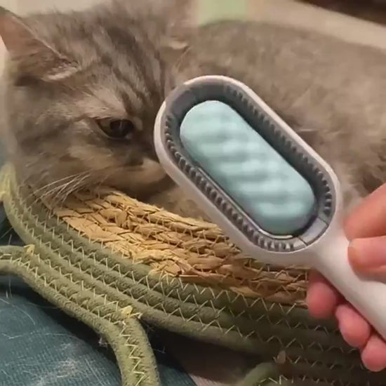 Cat Hair Brush