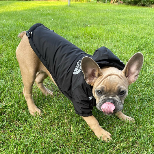 Chaqueta reflectante con capucha para mascotas