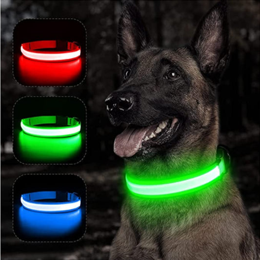 Dog Collar