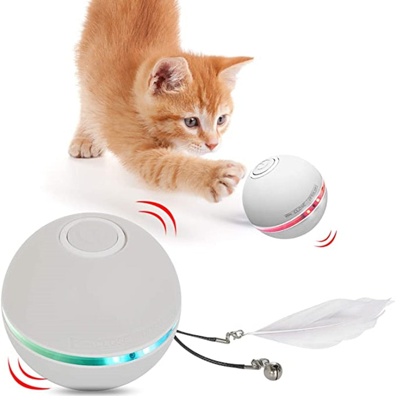 Electric LED Cat Toy