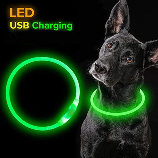 led collar