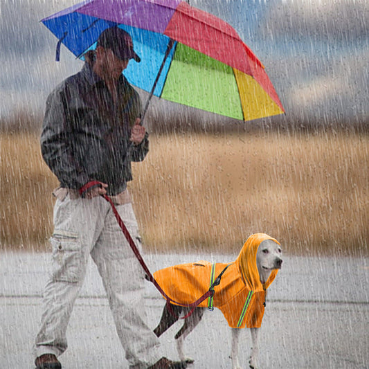 Pet Raincoat Dog Clothes 